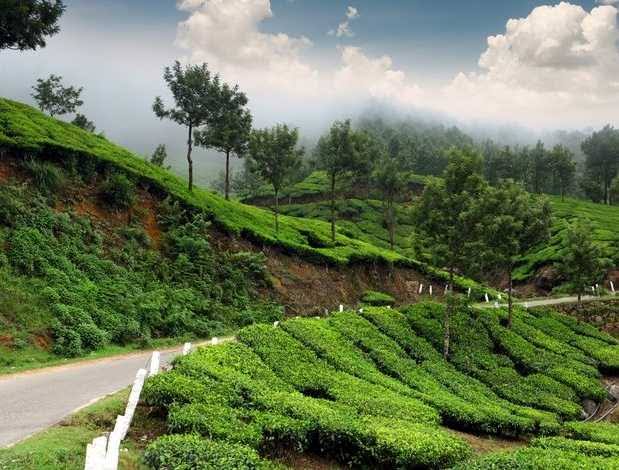 kerala tour packages, kerala tour, kerala trip, kerala package