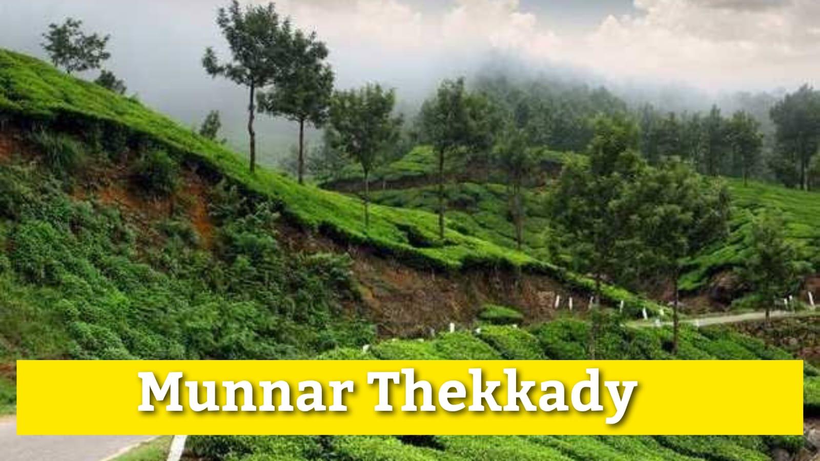 kerala tours, kerala tour packages, munnar tours, munnar thekkady tours